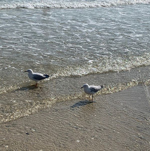 Meet your Posher, Mariam